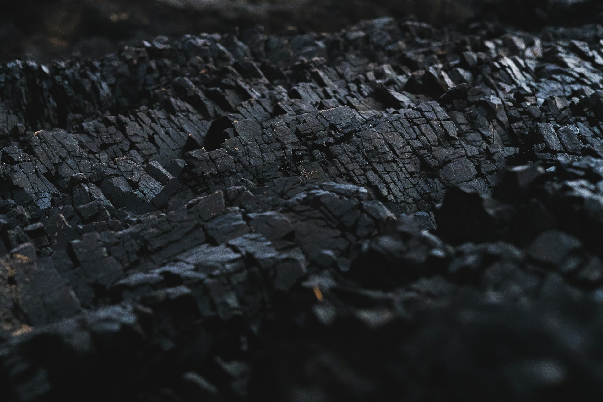 Home dexter fernandes abyhm2q7wik unsplash